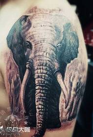 bra elefan tatoo modèl