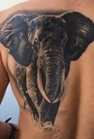 dominantní slon tetování vzor 9