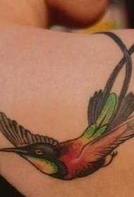 Плече Ластівка татуювання візерунок