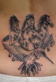 Pinggang coklat tilu kuda sareng gambar tattoo hummingbird