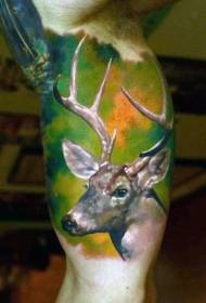 Velký muž realistické barevné jelení hlavy tetování vzor