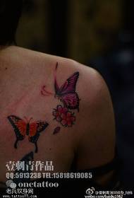 Schouder gekleurd vlinder tattoo patroon