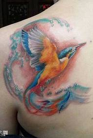 Шарена боја шема на тетоважа птица