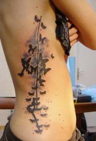 Akvarelu malba postranních žeber mnoho krásných motýlů tetování vzory