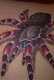 váll szín vörös lábszár pók tetoválás minta