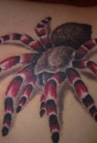 modello di tatuaggio di spalla colore rosso gamba capelli ragno