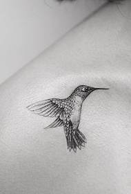 Pequeno patrón de tatuaxe fresco de paxaro