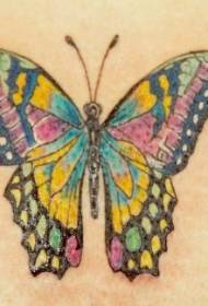 Patrón de tatuaxe de mariposa colorido