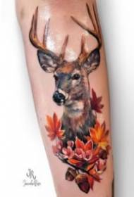 Belle série de 9 images de tatouage thème tête de cerf