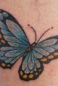 Realistisch blauw vlinder tattoo patroon