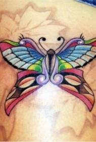 Padrão de tatuagem linda borboleta brilhante