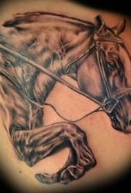 Рамо кафяв кон портрет татуировка кон