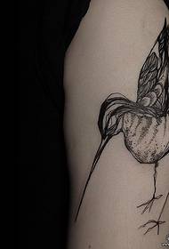 Big-armed hummingbird line splash ink tattoo pattern
