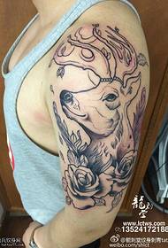 Patrón de tatuaje de línea de hombro espíritu ciervo