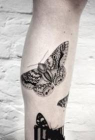 Едноставен сет на црно-пеперутки слики за тетоважи за уживање