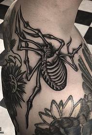 ihlombe elidwetshiwe le-spider tattoo