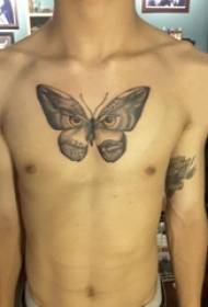 Cofre noivo no bosquexo negro negro búho elemento creativo tatuaxe de mariposa