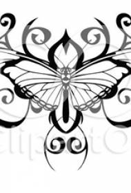 Crna crta skica kreativni književno estetski prekrasni nježni rukopis tetovaža leptira
