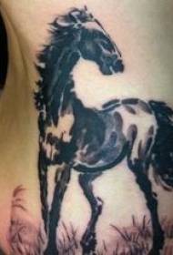 侧肋亚洲风格的黑马纹身图案