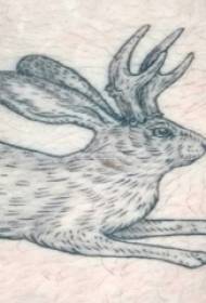 Coxas de meninos em picadas pretas linhas simples pequeno animal coelho tatuagem fotos