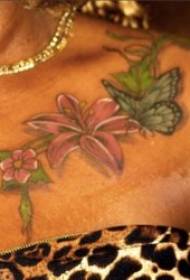 fjäril tatuering mönster olika målade tatuering djur fjäril tatuering mönster