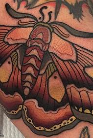 Ang pattern sa tattoo sa bulak nga butterfly sa abaga