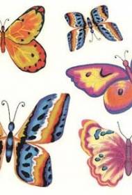 Verschiedene farbige Schmetterlings-Tätowierungsmuster-Manuskripte