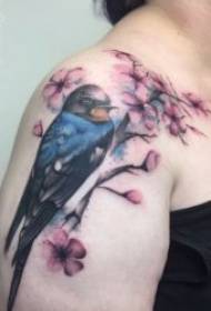 Tetovanie lastovička vlajúce okrídlený krásne tetovanie vzor vlaštovka tému