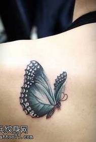 Na ramenu bijeli leptir tetovaža uzorak