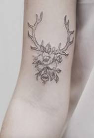 9 pezzi di opere di tatuaggi riguardanti capu di cervu antler