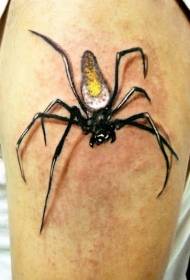 Model abdominal tatuazh merimangë i vogël merimangë