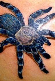 blue realistic big spider tattoo pattern