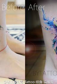 Ang tattoo tattoo ng ibon na sumasakop sa mga lumang tattoo ng watercolor