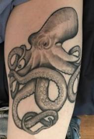 Coscia di ragazzo su nero grigio punto spina linea astratta piccola immagine del tatuaggio polpo animale