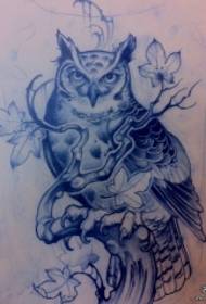 Manoscritto tatuaggio ramoscello gufo europeo e americano