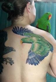 Cailín ar phéinteáil ar phictiúr tattoo ainmhí beag parrot líne ghearr