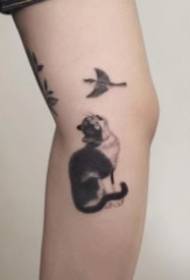 गोंडस पाळीव प्राण्यांच्या मांजरीच्या पिल्लांच्या टॅटू चित्रांचा खूप गोंडस सेट