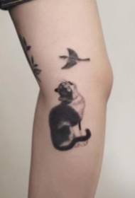 Ganz séiss Set vun Tattoobiller vun séiss Hausdéieren