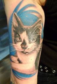 Reális színes macska emlékezetes tetoválás minta