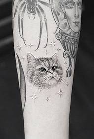Kleine arm kat tattoo patroon