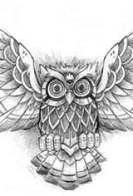 Black gray sketch creative domineering exquisite owl tattoo manuscript