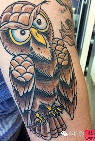 Ang pagpapakita ng tattoo, inirerekumenda ang isang hanay ng mga tattoo ng owl