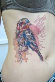 Modello di tatuaggio uccello addome acquerello carino
