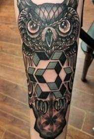 Jungen-Arme auf schwarzer Gray Sketch Sting Tips Creative Owl Tattoo Picture