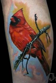 Akvarelės mielas raudonų paukščių tatuiruotės modelis
