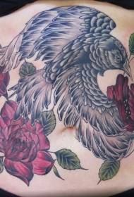Pārsteidzošs krāsains melns putns un rožu tetovējums uz vēdera