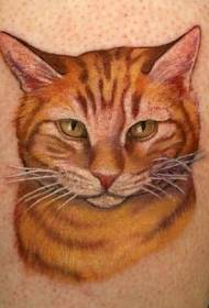 Modello di tatuaggio gatto realistico colore glamour