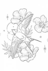 Personalità linee astratte neri piante di fiori è manoscrittu tatuatu di uccelli