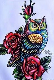 Trend klasický módní sova tetování rukopis obrázek obrázek