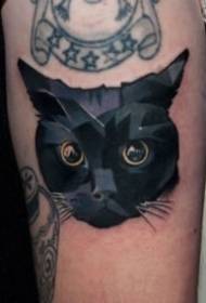 Набор тем кошек из 9 дизайнов татуировок кошек